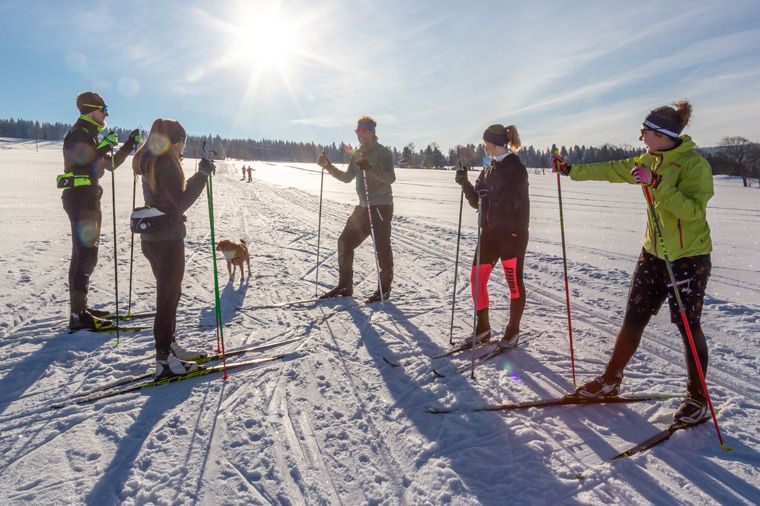 Das Bild zeigt eine Gruppe von fünf Personen, die auf Langlaufskiern in einem schneebedeckten Feld stehen. Die Sonne scheint hell und wirft lange Schatten. Es gibt auch einen kleinen Hund, der in der Nähe der Skifahrer steht. Im Hintergrund sind Bäume und ein blauer Himmel zu sehen.