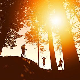 Sportpark Rabenberg: Outdoor Das Bild zeigt eine Szene im Freien, wahrscheinlich in einem Wald, bei Sonnenuntergang oder Sonnenaufgang. Es gibt mehrere hohe Bäume im Bild, die sich in Silhouetten vor dem hellen Himmel abheben. Die Sonne scheint hell durch die Bäume, was einen schönen Lichteffekt erzeugt. Im Vordergrund ist eine Person zu sehen, die auf einem Hügel steht und einen Wanderrucksack trägt. Sie scheint eine Wanderung zu unternehmen. In der Mitte des Bildes ist eine weitere Person zu sehen, die in die Luft springt. Auf der rechten Seite des Bildes steht eine weitere Person an einem Baum. Das Bild hat eine warme und sonnige Atmosphäre. Die Silhouetten der Bäume und Personen vor dem hellen Himmel erzeugen einen starken Kontrast und eine dramatische Stimmung. Es vermittelt ein Gefühl von Freiheit, Abenteuer und Freude im Freien.
