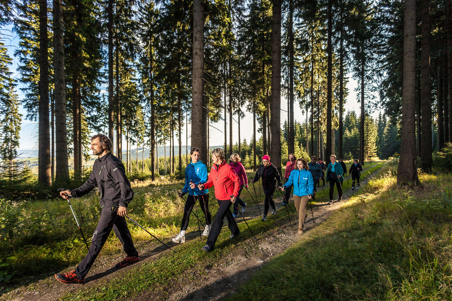 Das Bild zeigt eine Gruppe von Menschen, die durch einen Wald wandern. Sie sind alle bekleidet mit Sportkleidung und halten Wanderstöcke. Das Sonnenlicht scheint durch die Bäume, die den Wald säumen. Der Weg, den sie gehen, ist aus Erde und Gras.